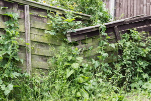 Fencing Repairs